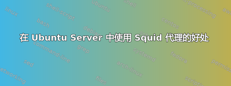 在 Ubuntu Server 中使用 Squid 代理的好处