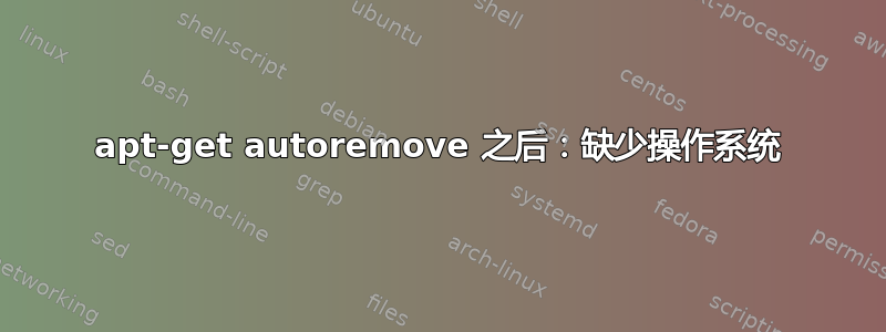 apt-get autoremove 之后：缺少操作系统