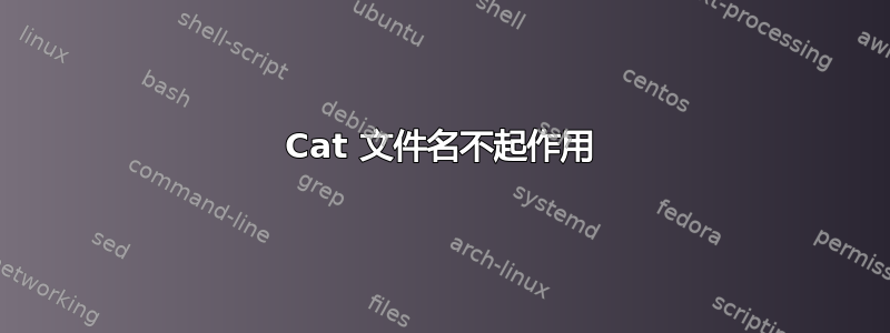 Cat 文件名不起作用