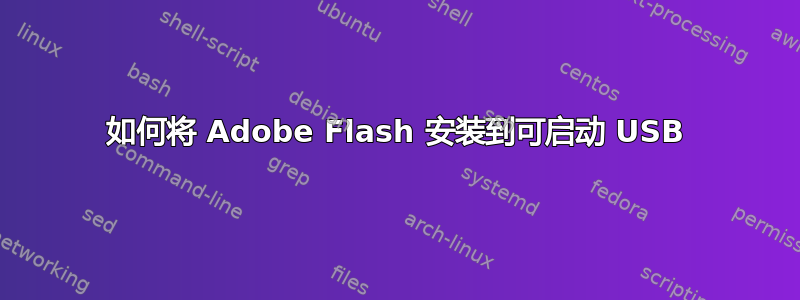 如何将 Adob​​e Flash 安装到可启动 USB