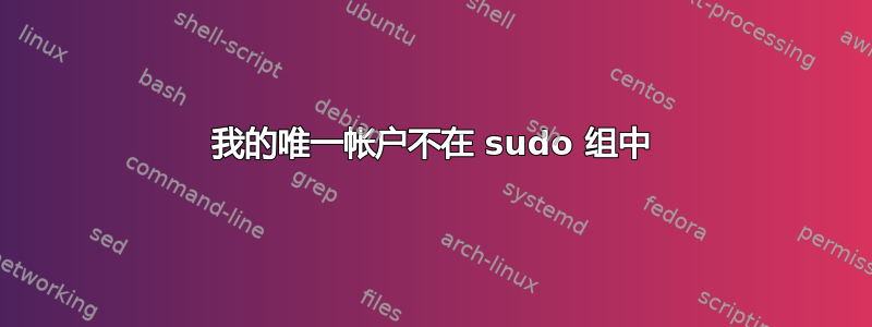 我的唯一帐户不在 sudo 组中