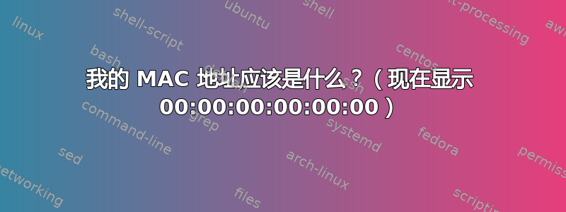 我的 MAC 地址应该是什么？（现在显示 00:00:00:00:00:00）