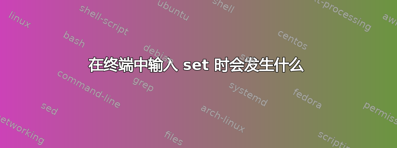 在终端中输入 set 时会发生什么