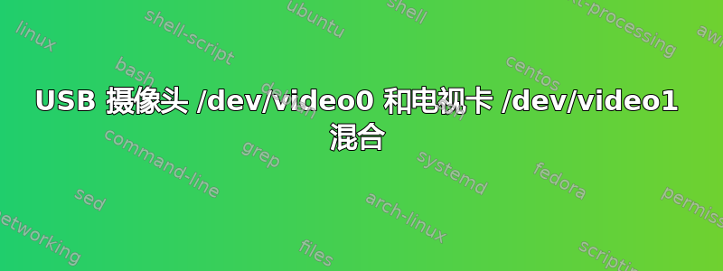 USB 摄像头 /dev/video0 和电视卡 /dev/video1 混合