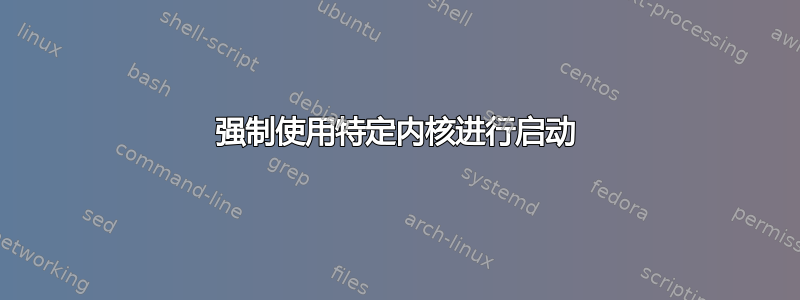 强制使用特定内核进行启动