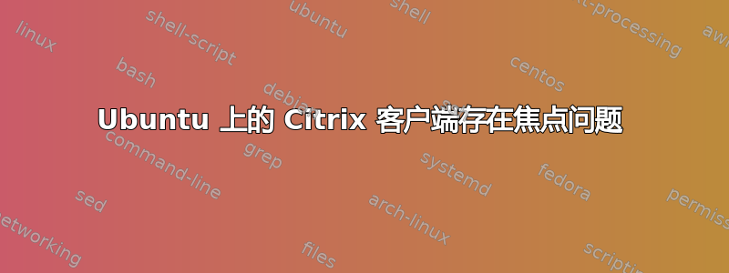 Ubuntu 上的 Citrix 客户端存在焦点问题