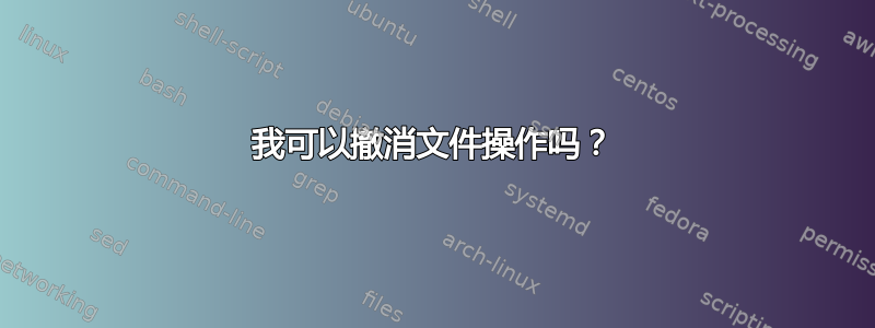 我可以撤消文件操作吗？