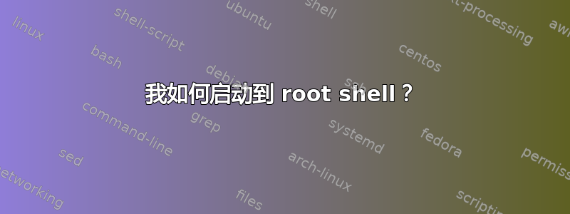 我如何启动到 root shell？