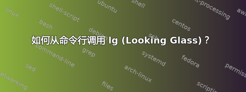 如何从命令行调用 lg (Looking Glass)？