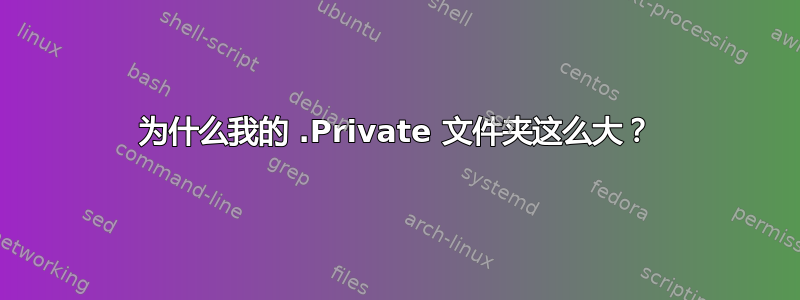 为什么我的 .Private 文件夹这么大？