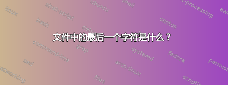 文件中的最后一个字符是什么？