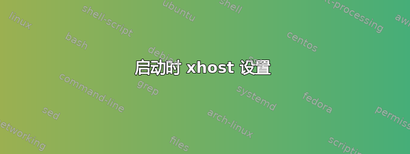 启动时 xhost 设置