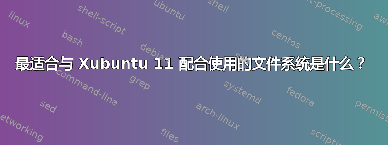 最适合与 Xubuntu 11 配合使用的文件系统是什么？