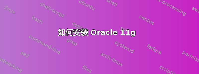 如何安装 Oracle 11g 