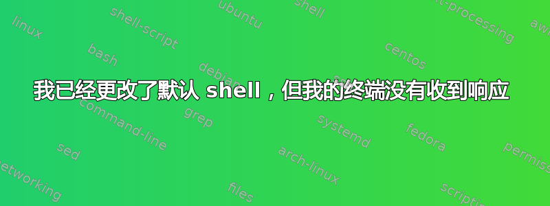 我已经更改了默认 shell，但我的终端没有收到响应