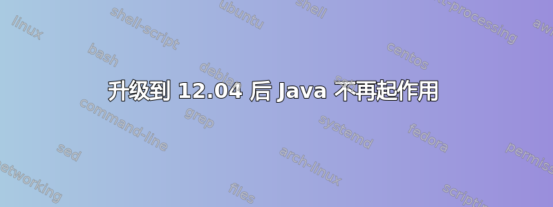 升级到 12.04 后 Java 不再起作用