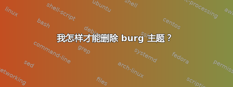 我怎样才能删除 burg 主题？