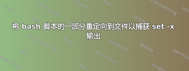 将 bash 脚本的一部分重定向到文件以捕获 set -x 输出