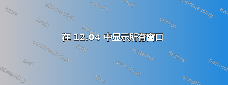 在 12.04 中显示所有窗口