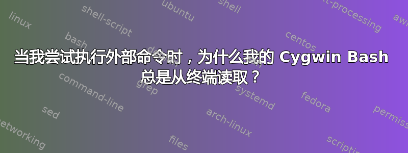 当我尝试执行外部命令时，为什么我的 Cygwin Bash 总是从终端读取？