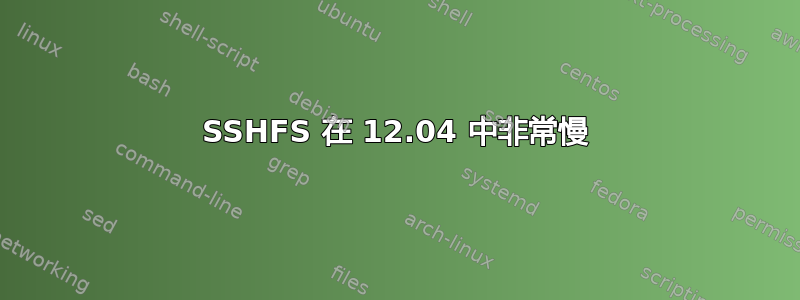 SSHFS 在 12.04 中非常慢