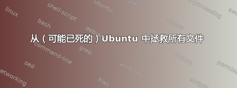 从（可能已死的）Ubuntu 中拯救所有文件