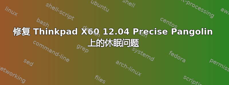修复 Thinkpad X60 12.04 Precise Pangolin 上的休眠问题