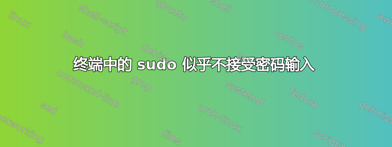 终端中的 sudo 似乎不接受密码输入