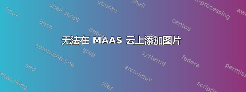 无法在 MAAS 云上添加图片