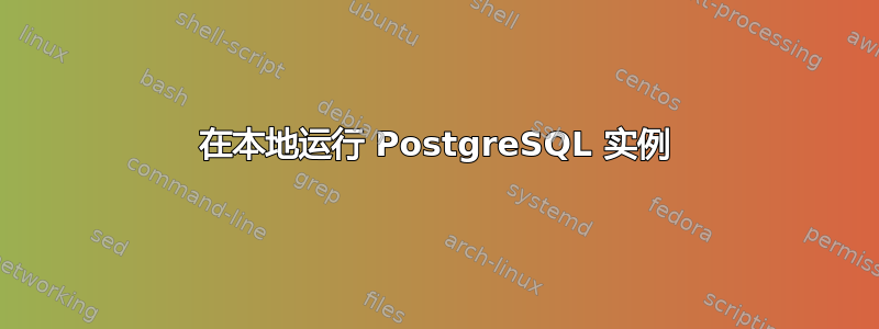 在本地运行 PostgreSQL 实例