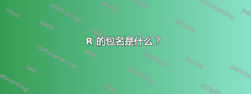 R 的包名是什么？