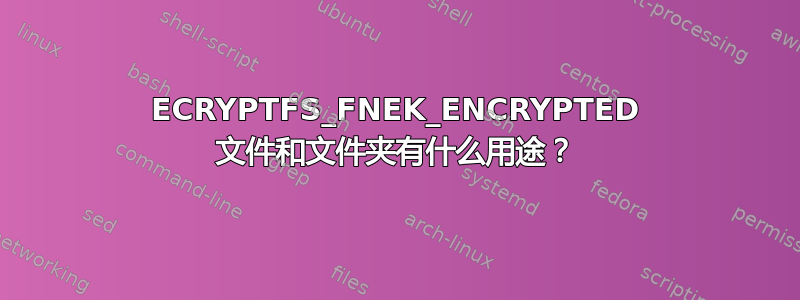 ECRYPTFS_FNEK_ENCRYPTED 文件和文件夹有什么用途？