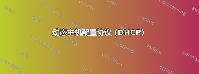 动态主机配置协议 (DHCP)