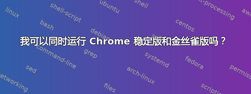 我可以同时运行 Chrome 稳定版和金丝雀版吗？