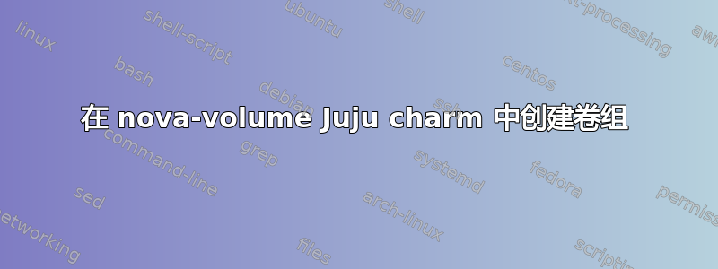 在 nova-volume Juju charm 中创建卷组