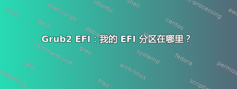 Grub2 EFI：我的 EFI 分区在哪里？