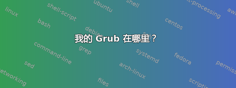 我的 Grub 在哪里？