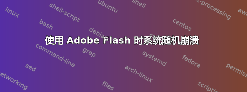 使用 Adob​​e Flash 时系统随机崩溃