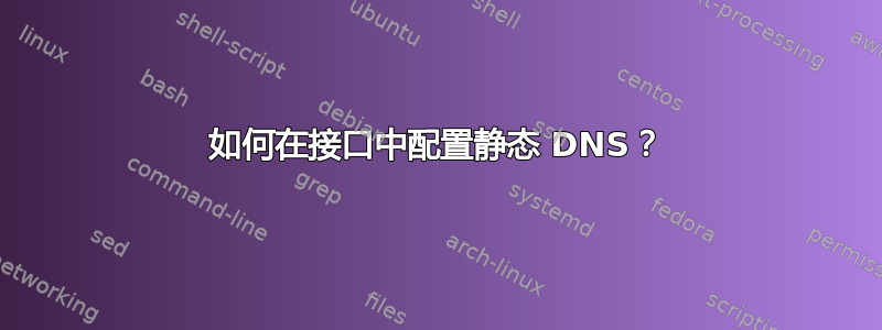 如何在接口中配置静态 DNS？