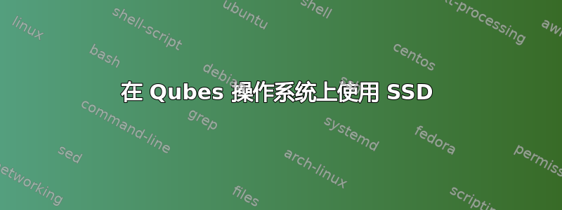 在 Qubes 操作系统上使用 SSD