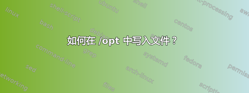 如何在 /opt 中写入文件？