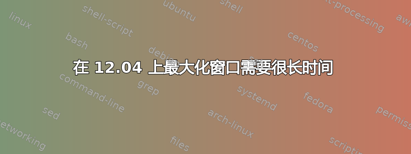 在 12.04 上最大化窗口需要很长时间