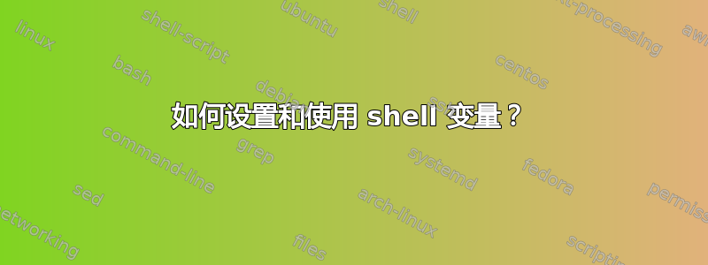 如何设置和使用 shell 变量？