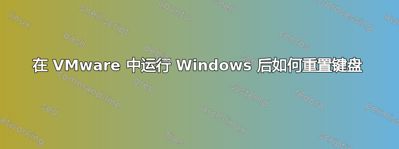 在 VMware 中运行 Windows 后如何重置键盘