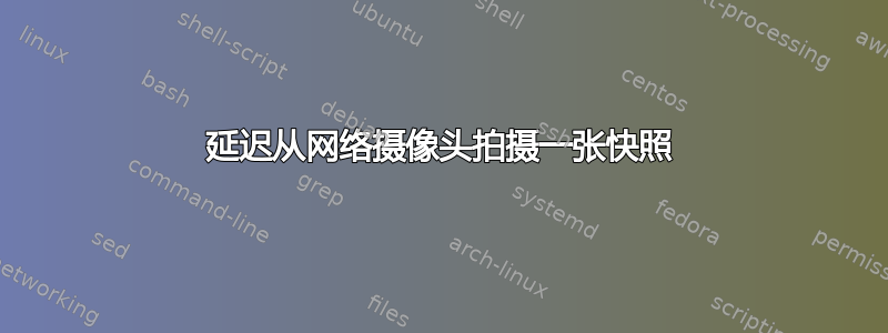 延迟从网络摄像头拍摄一张快照