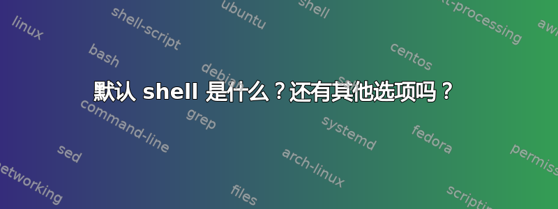 默认 shell 是什么？还有其他选项吗？