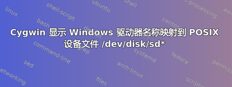 Cygwin 显示 Windows 驱动器名称映射到 POSIX 设备文件 /dev/disk/sd*