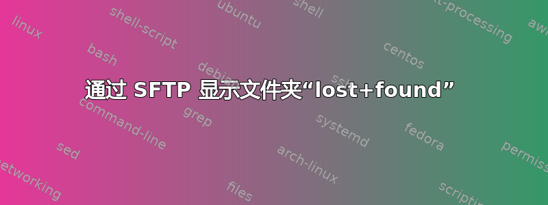 通过 SFTP 显示文件夹“lost+found”