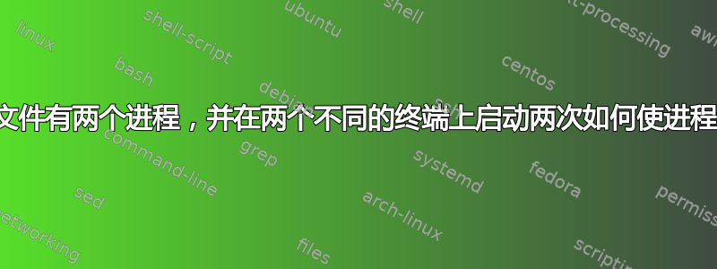 一个可执行文件有两个进程，并在两个不同的终端上启动两次如何使进程识别其角色