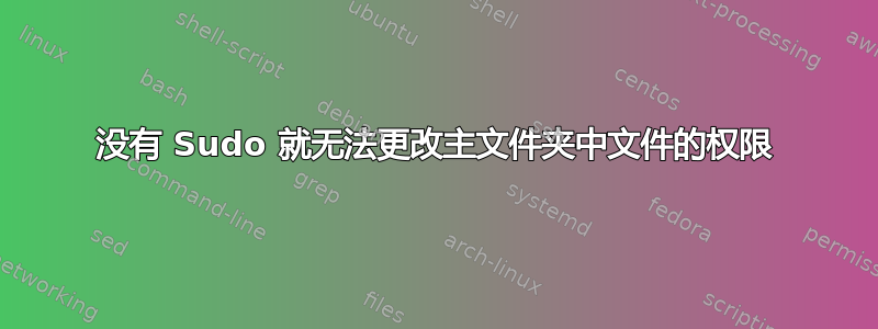 没有 Sudo 就无法更改主文件夹中文件的权限